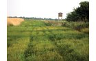 Property photo 5 - 114+/- Acres Offered in 4 Tracts